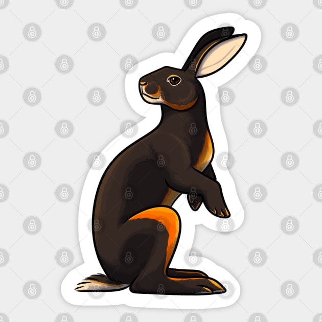 Belgian Hare Sticker by DeguArts